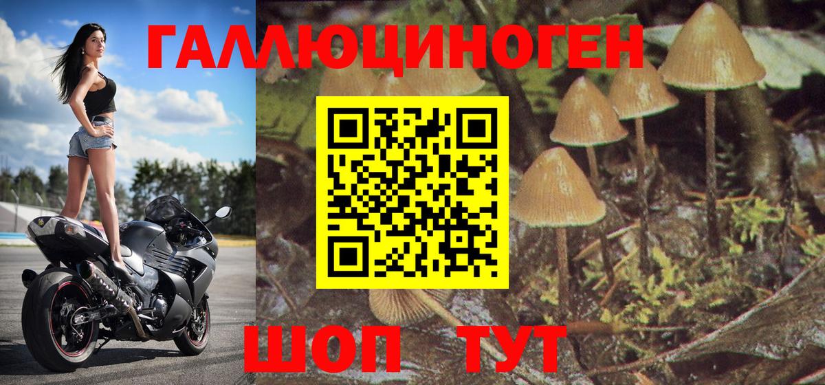 Галлюциногенные грибы прущие грибы  Псилоцибиновые грибы мухоморы  Старый Оскол  купить наркоту  Вход с VPN 